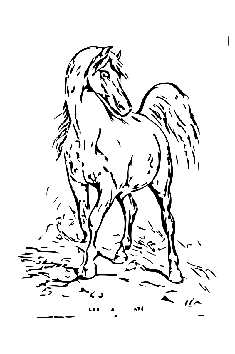 horse