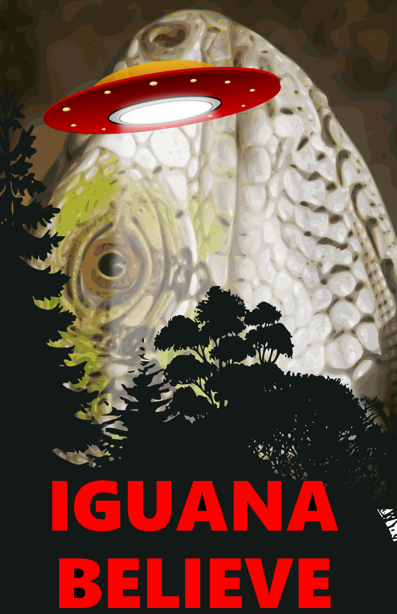 Iguana Believe