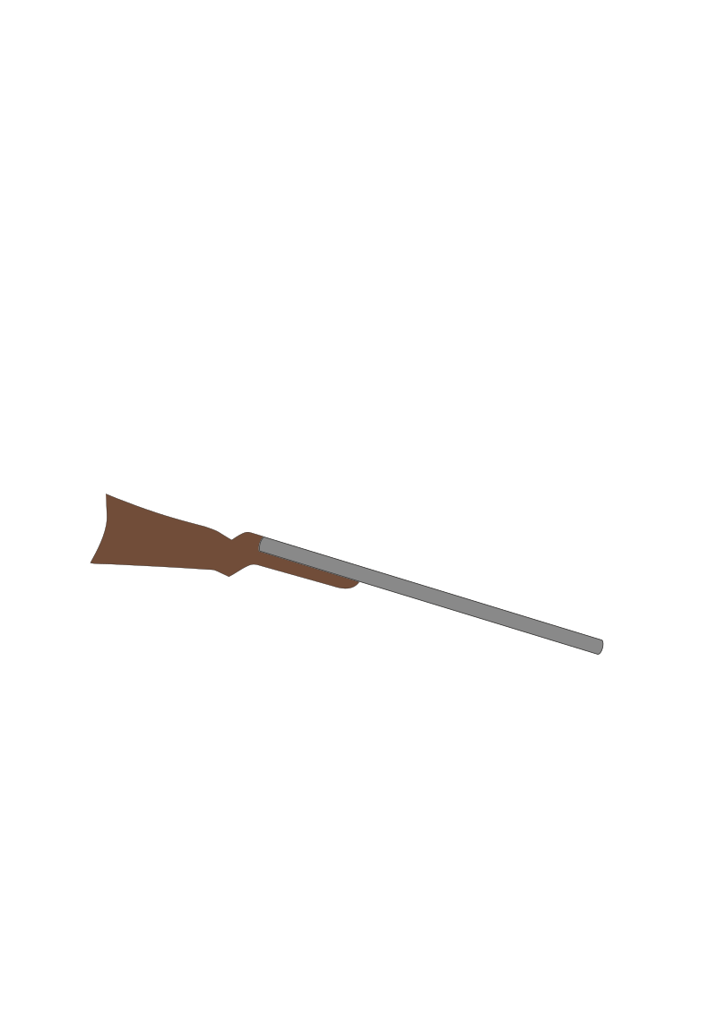 historical rifle