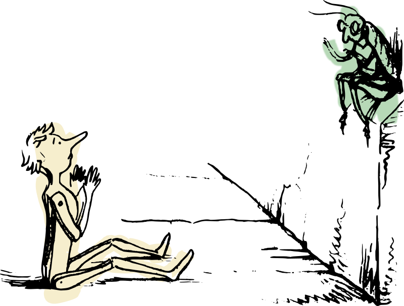 Pinocchio