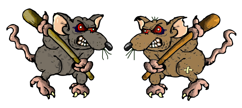 Rat vs Rat