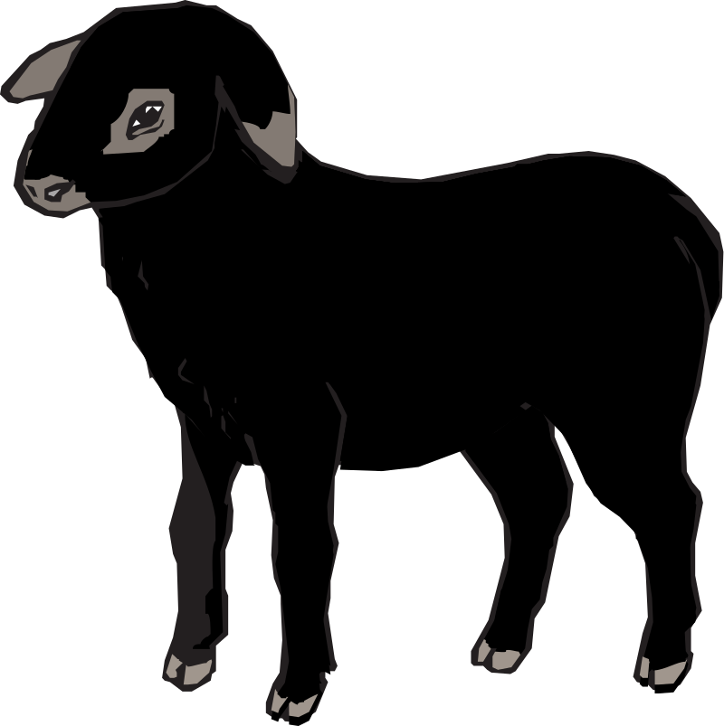 black sheep the odd one out