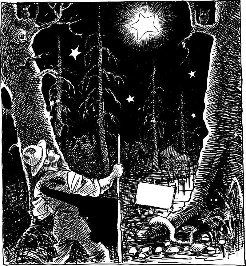 Man Looking at Stars