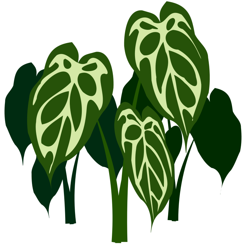 Leaf