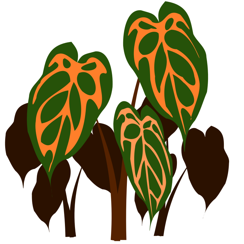 Leaf