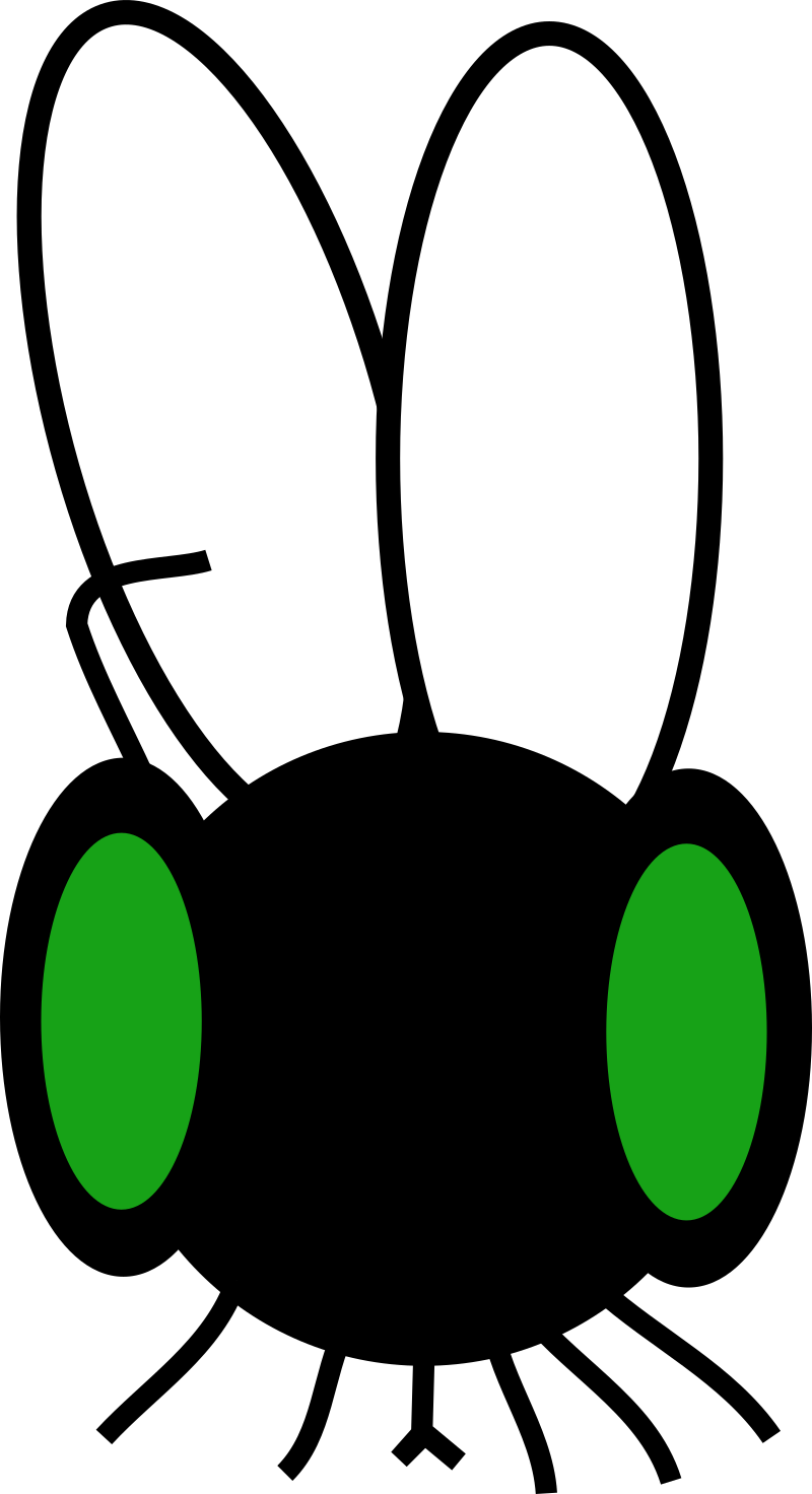 tiny fly with green eyes