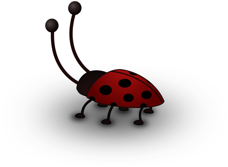 Ladybird - Remix