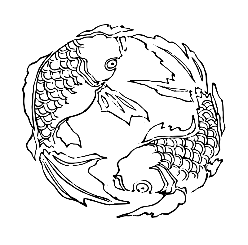 Japanese Goldfish Spin Design