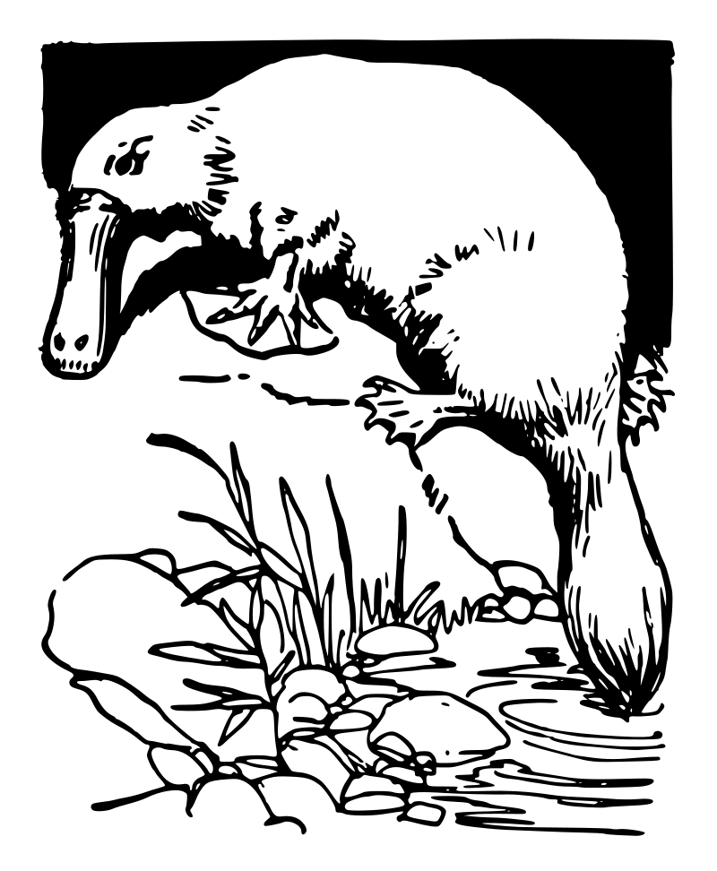Platypus