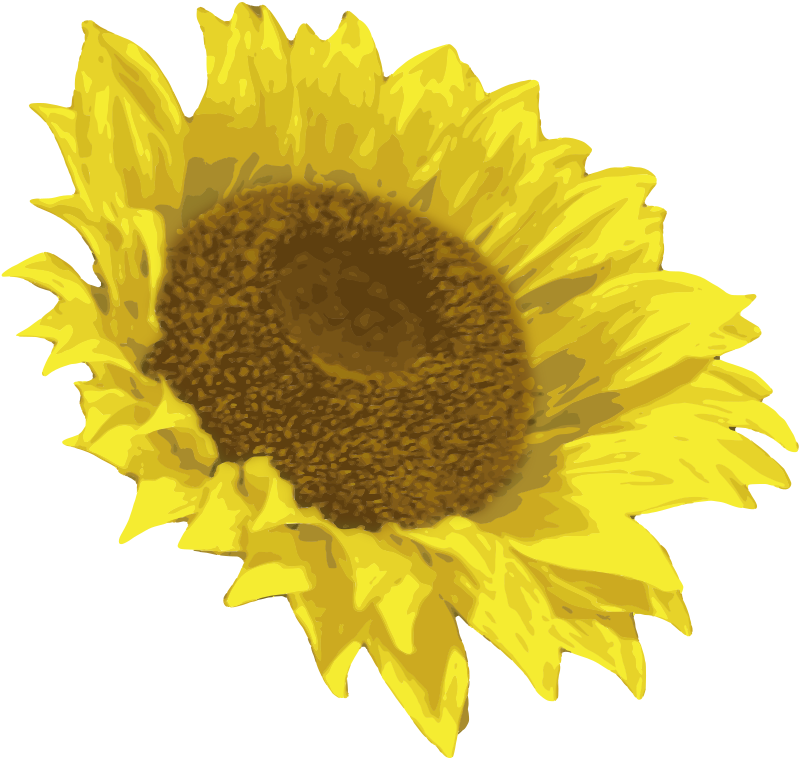 Happy Sunflower