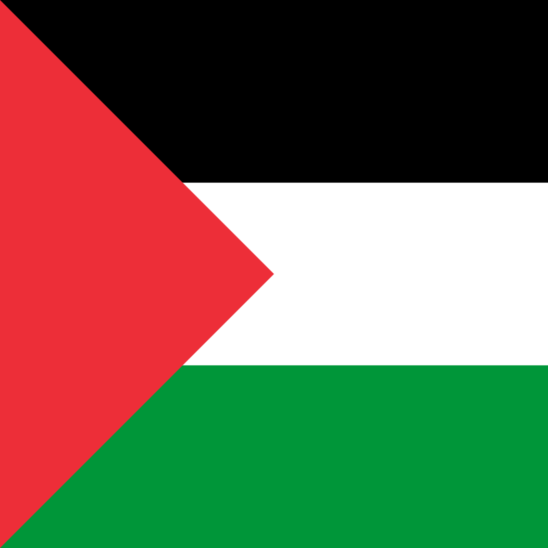Palestine Flag Square