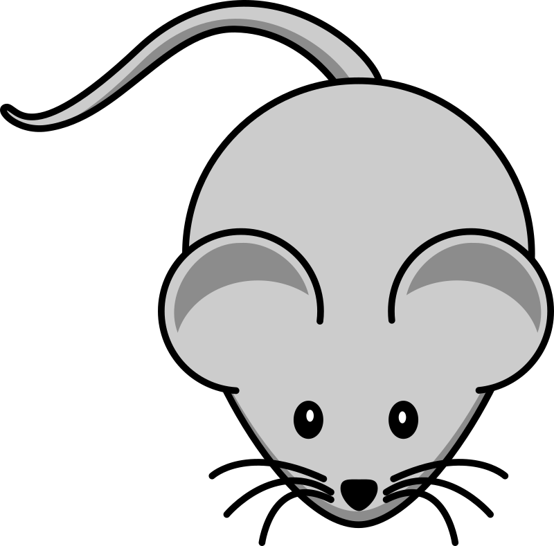 Mouse