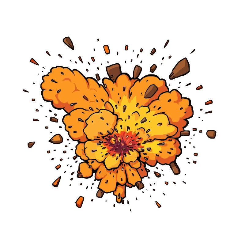  Bomb Explosion