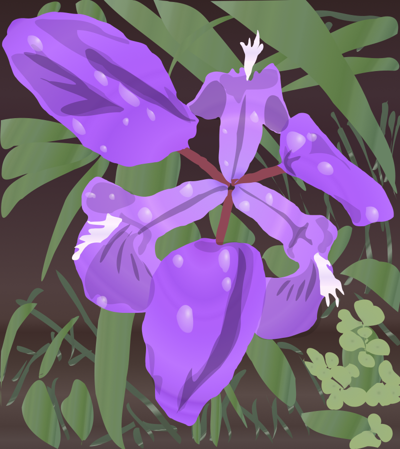 Phlower3