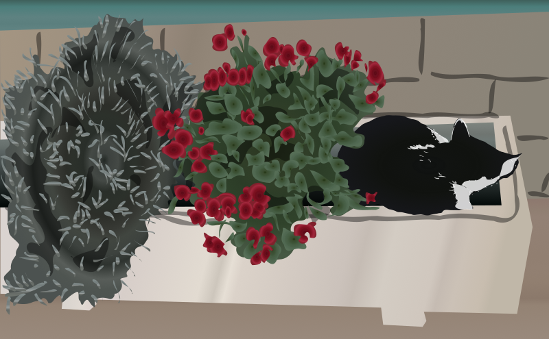 Phlora's Buds
