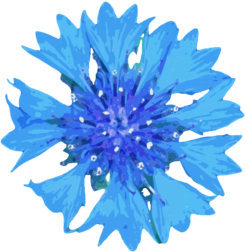 Blue Flower