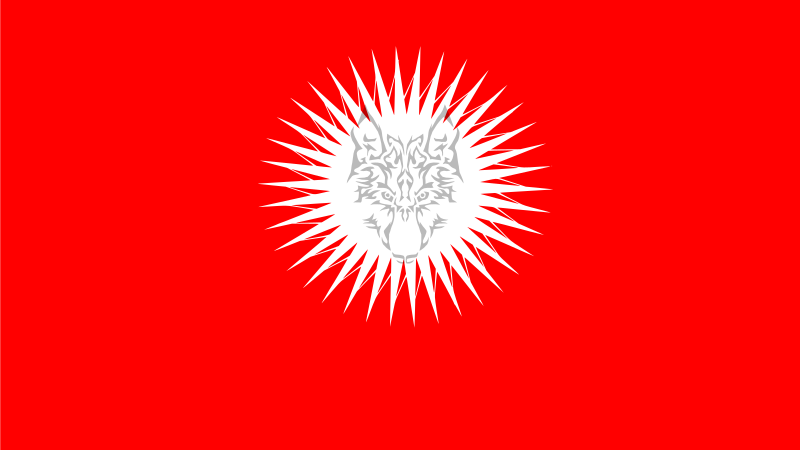 Türk