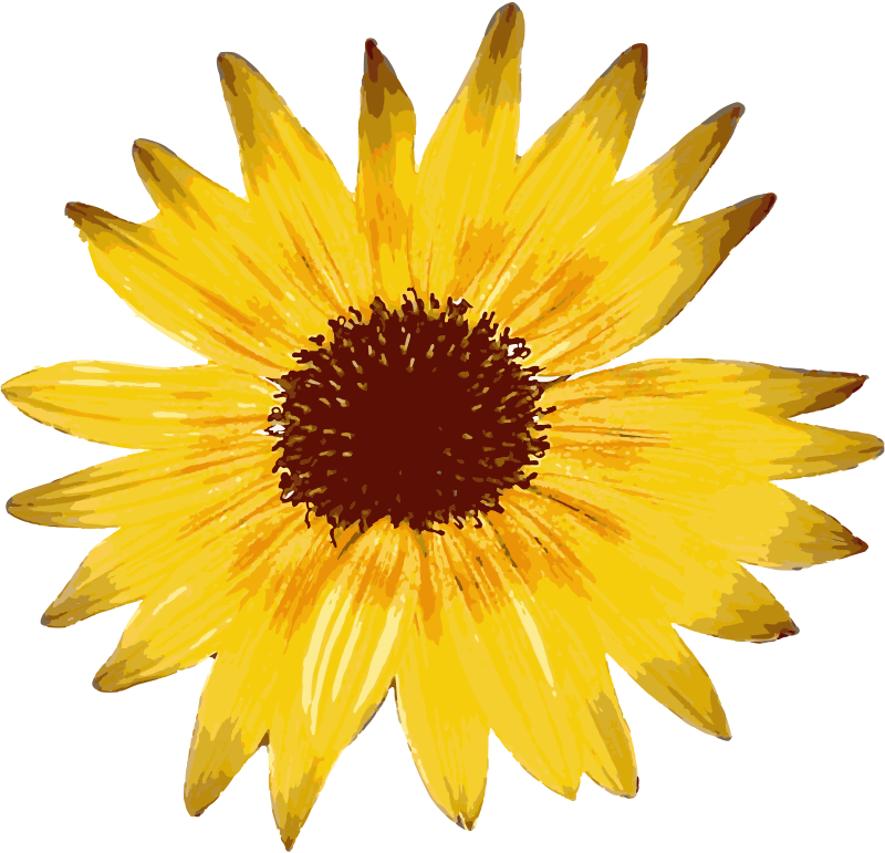 Mini Sunflower