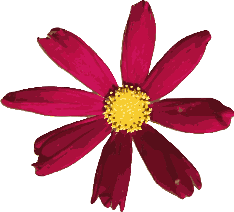 Red Flower
