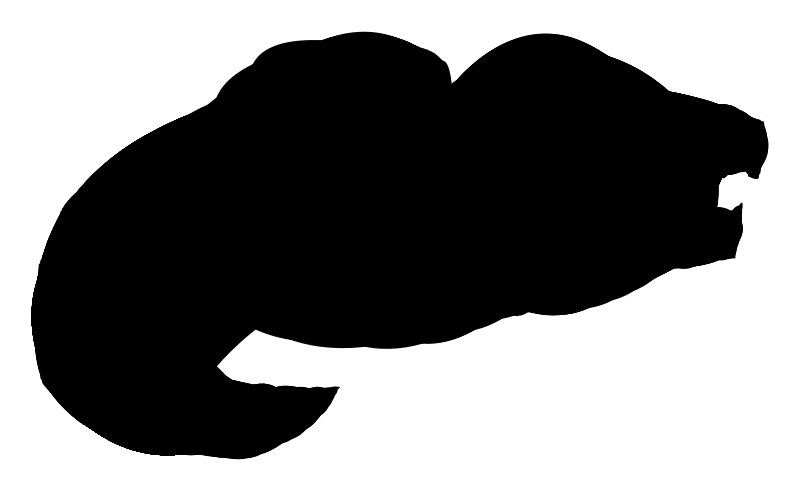 Simplify SVG Cartoon Croc Animation