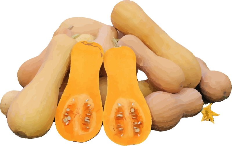 Butternut Squash