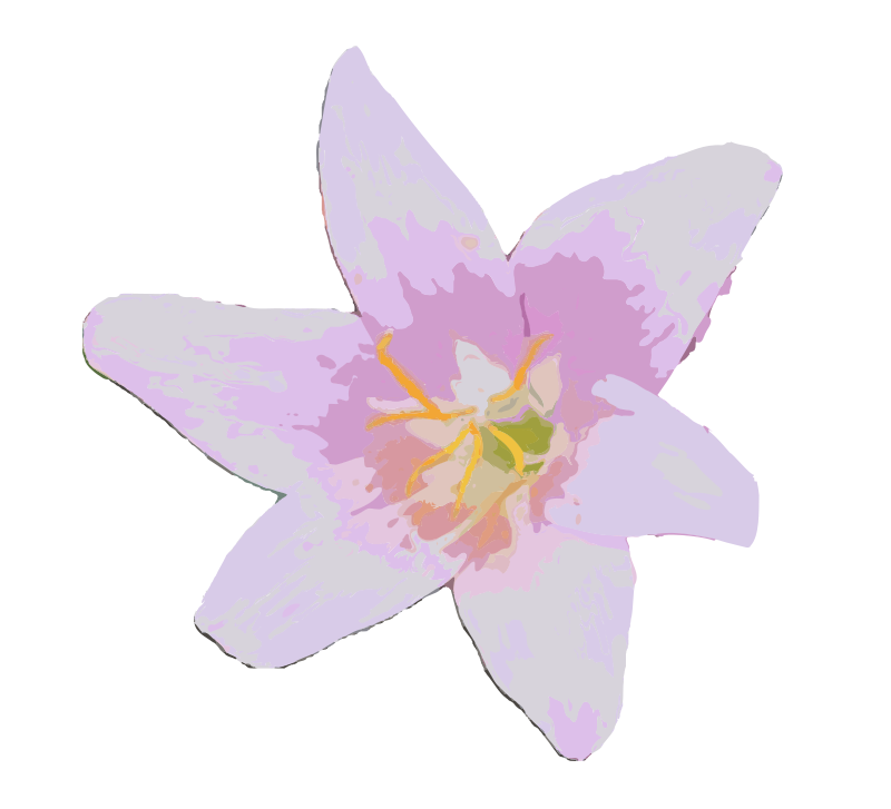 Pink Flower