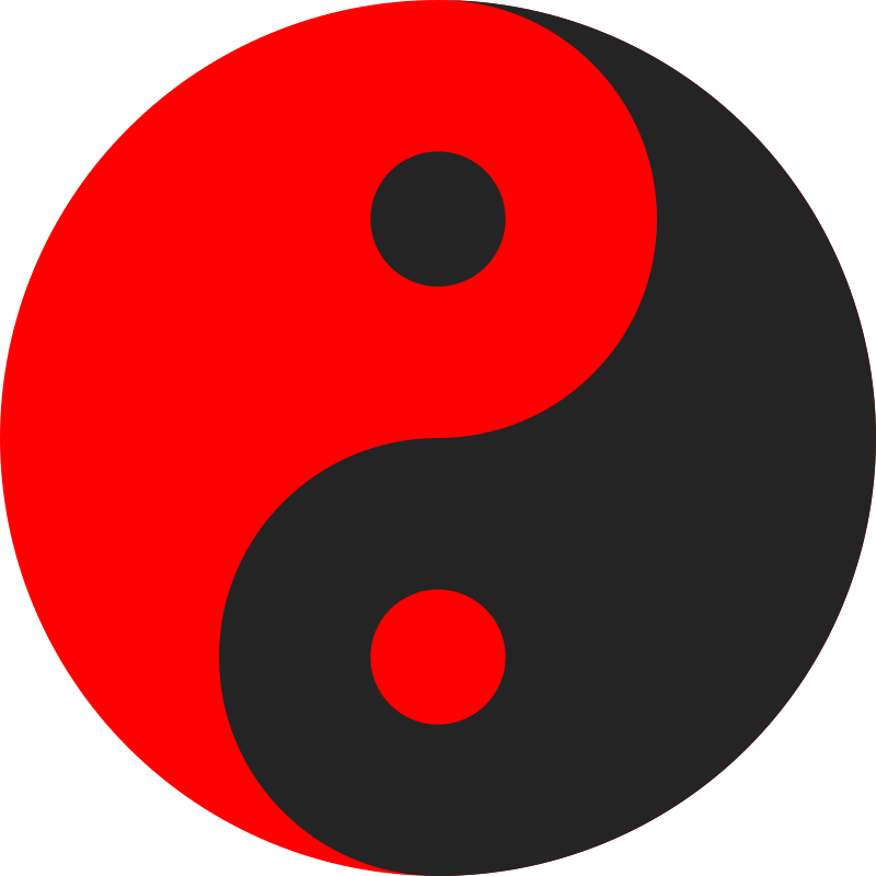 taichi rotate animation
