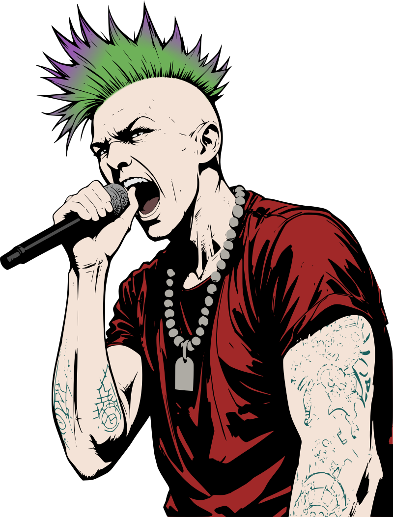 Punk Singer