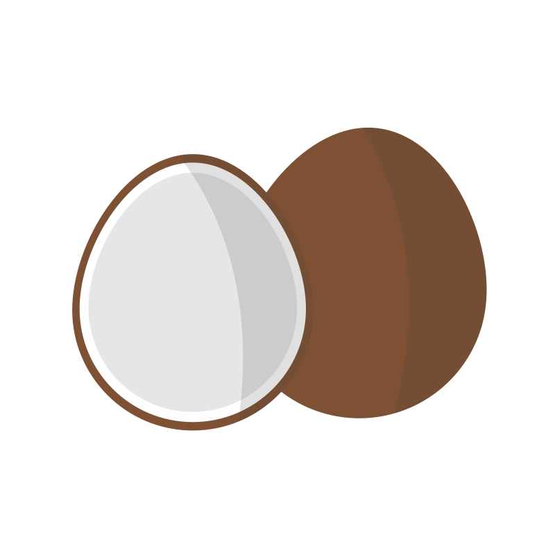 Coconut Isolated