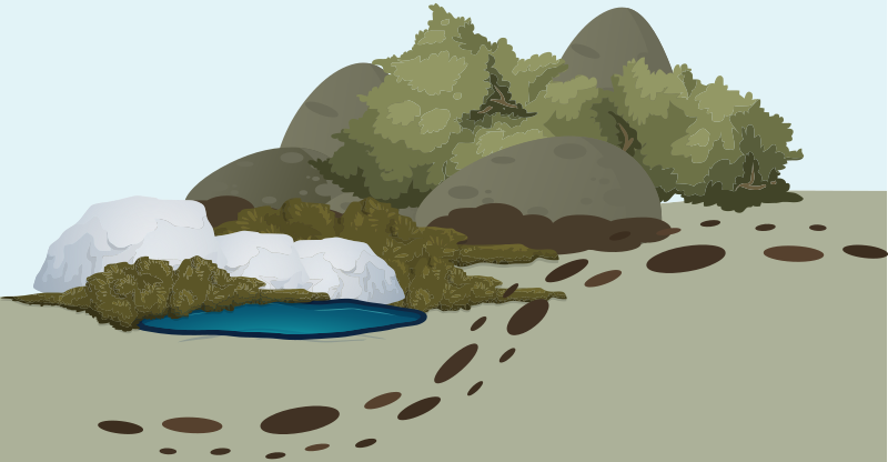 Rockery