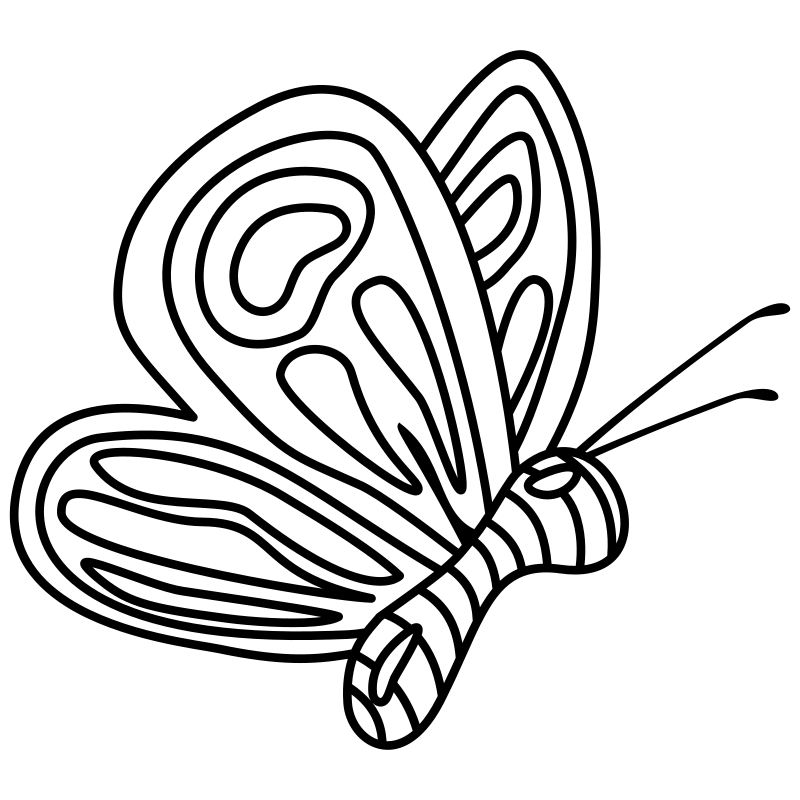 Simple Detailed Butterfly Lineart