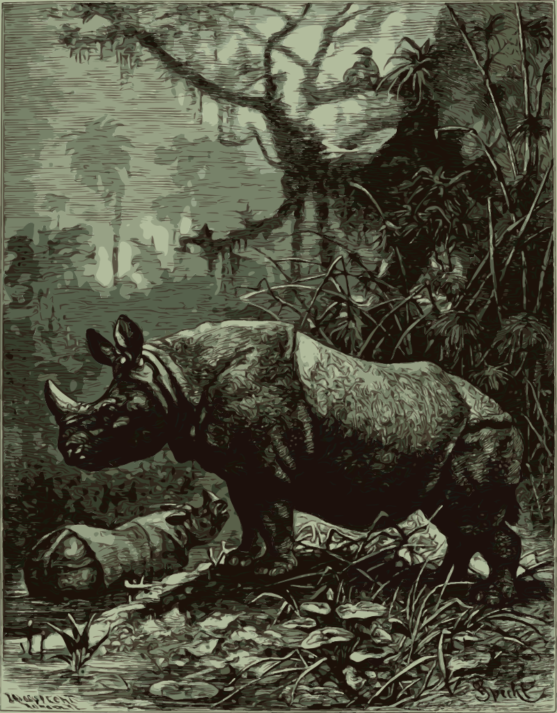 One-horned Rhinoceros
