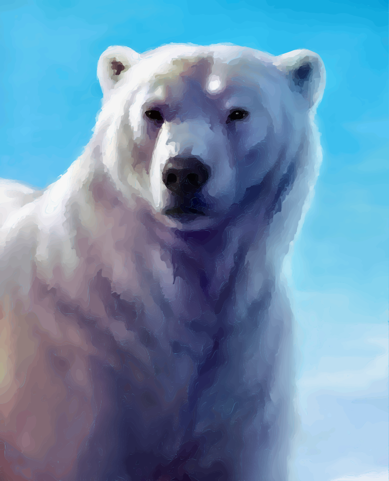 Polar Bear