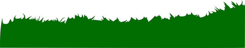 More Grass as Silhouette