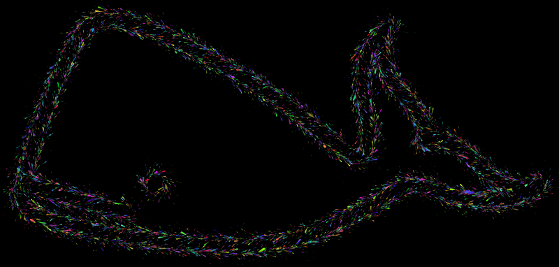 Whale Splatter Colorful