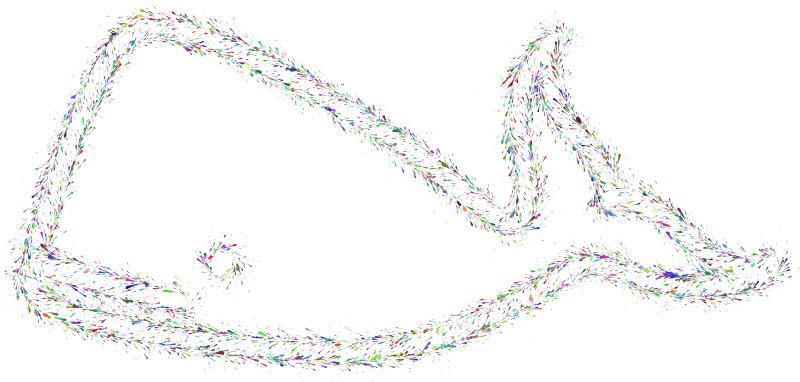 Whale Splatter Colorful No BG
