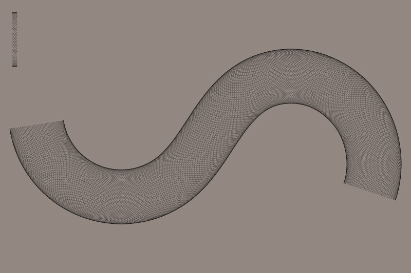 snake skin pattern along path