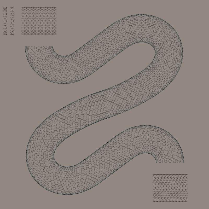 snake skin pattern along path