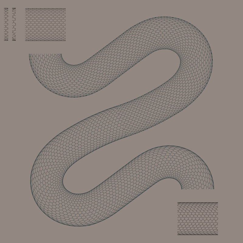 snake skin pattern along path