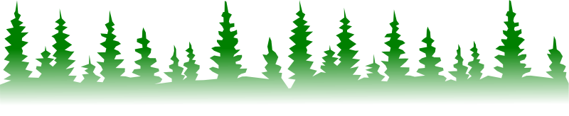 Silhouette of forest