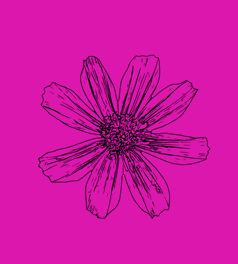 Simple Flower on Pink