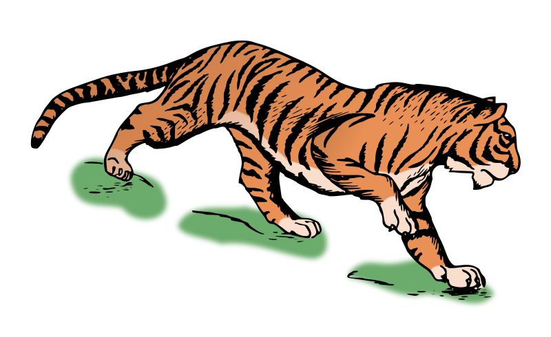 Tiger - Colour Remix