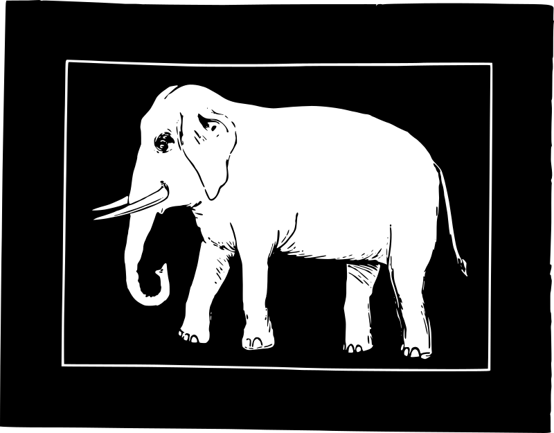 Elephant in a Square