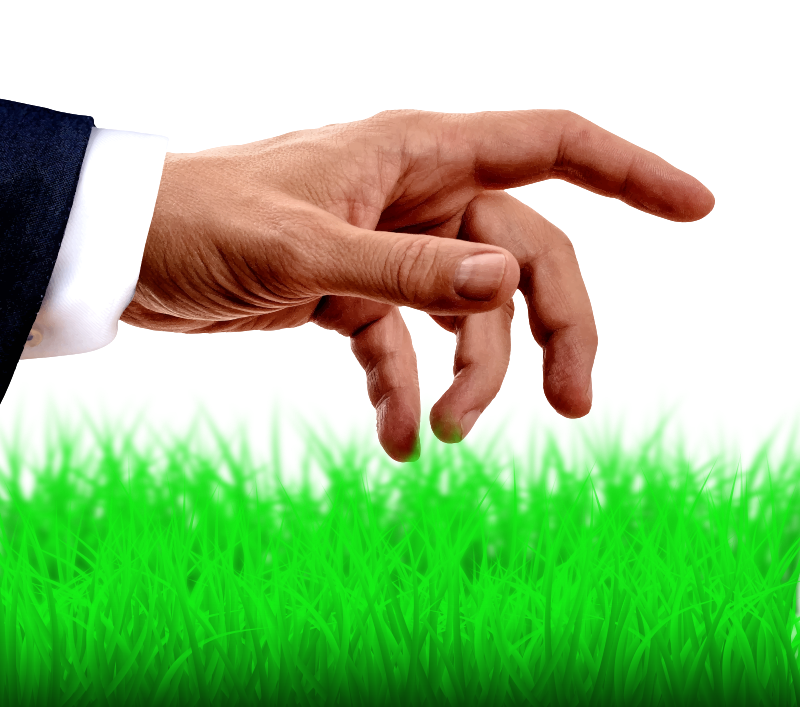 Touch Grass