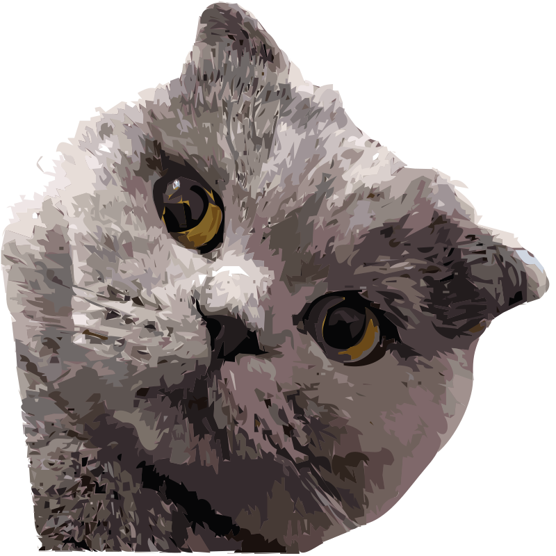 Big Cat Face - Remix