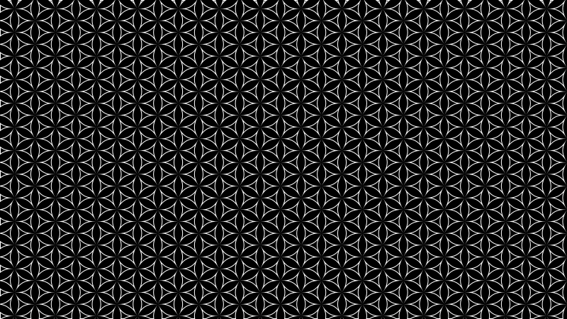 Seamless Pattern 475 Line Art White