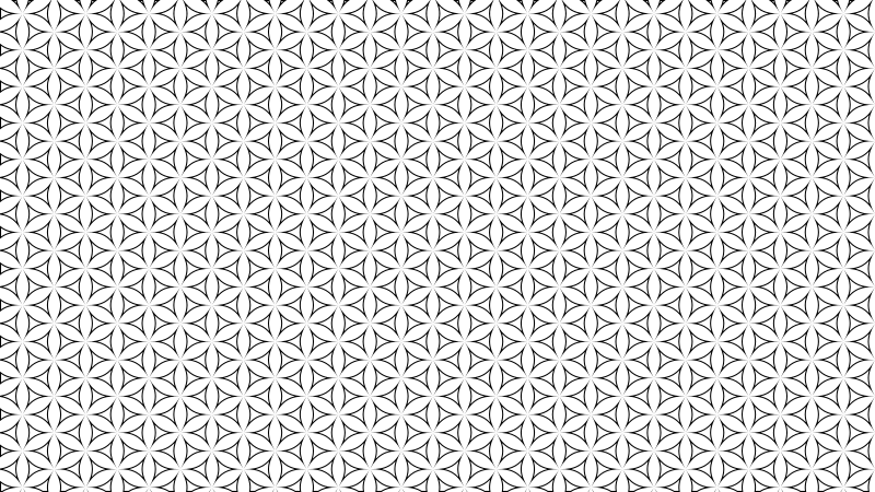 Seamless Pattern 475 Line Art Black