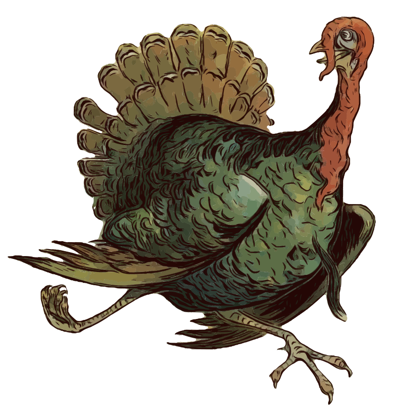 Escaping Turkey - Isolated