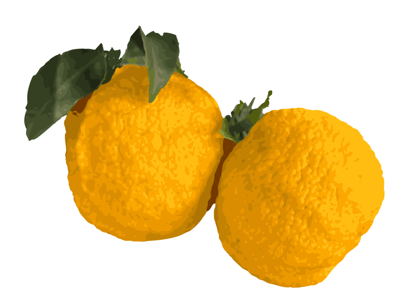 Two Yuzu