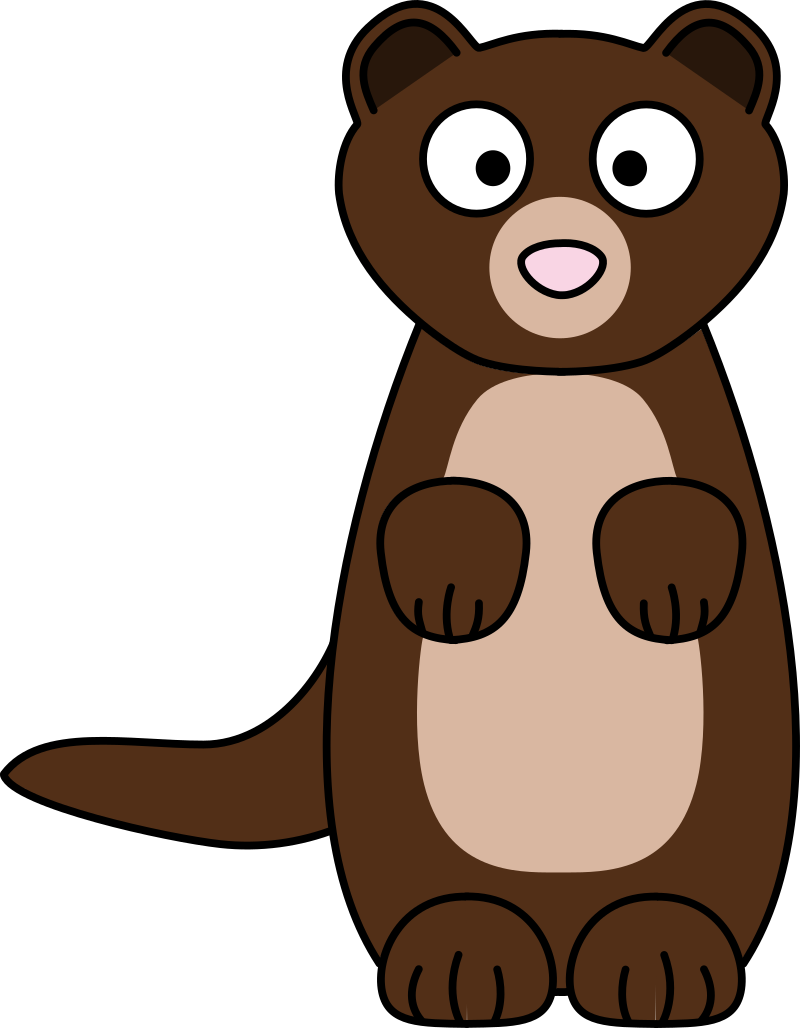 Ferret